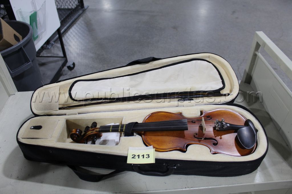 violin  ~2113~ — photo 1