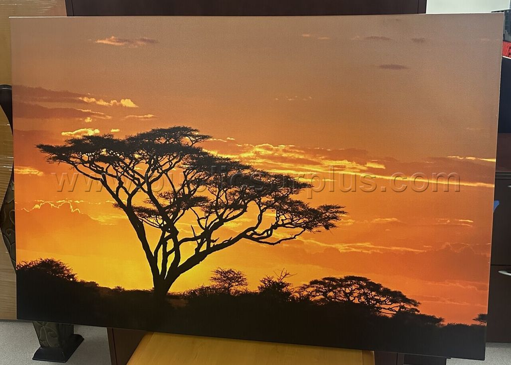 Auction#390- African sunset canvas — photo 1