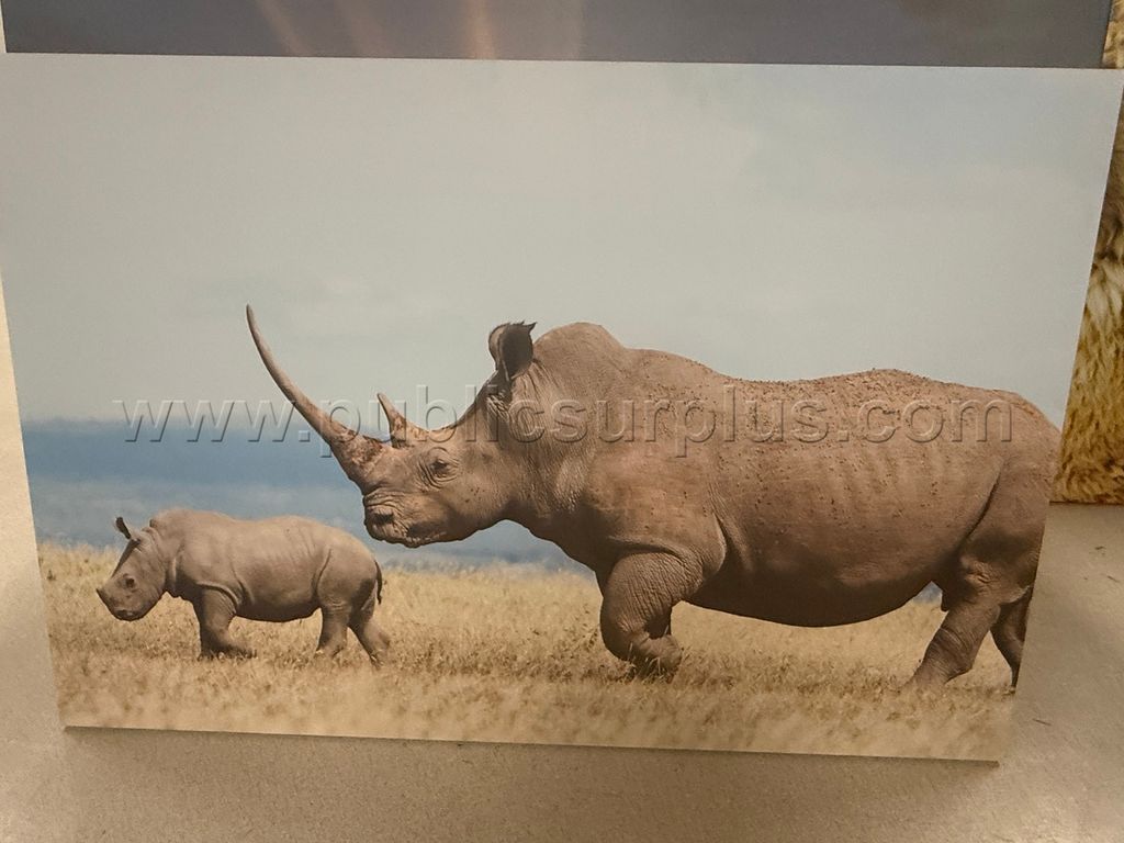 Auction#363- Mama/baby Rhino canvas — photo 1