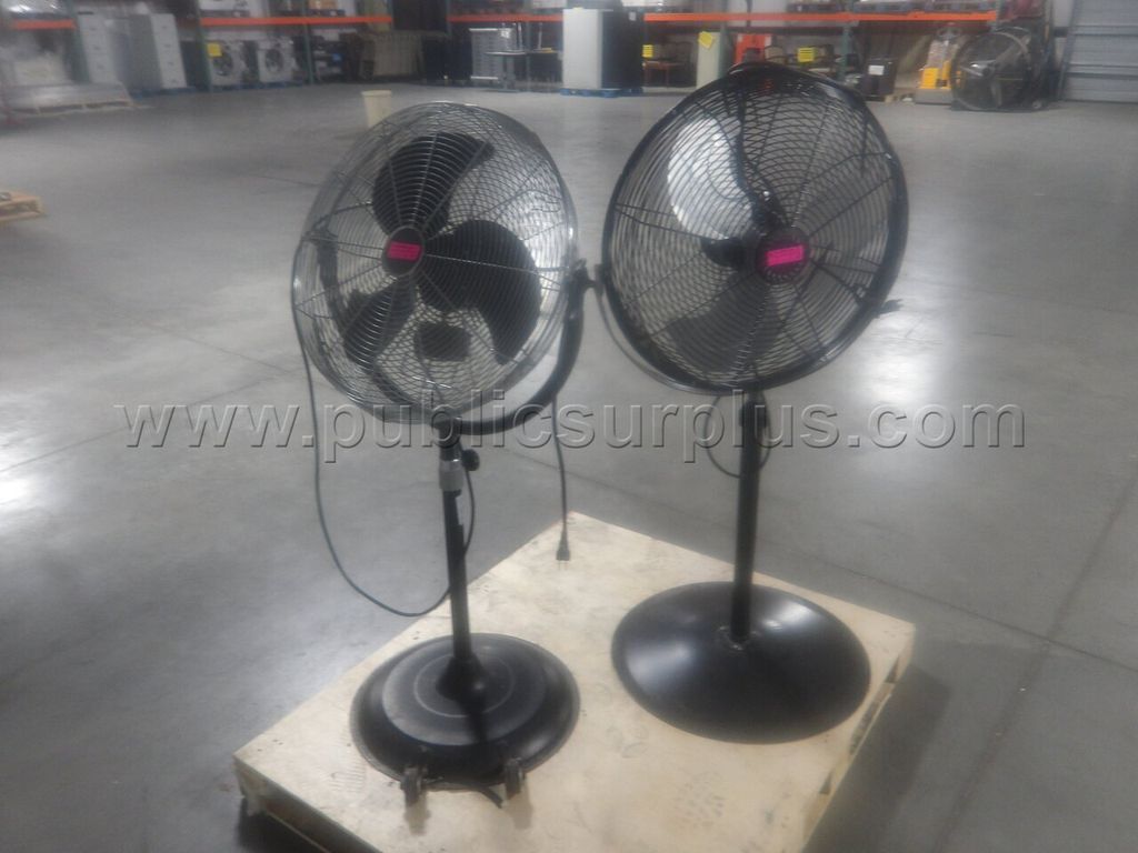 Fans - photo 1