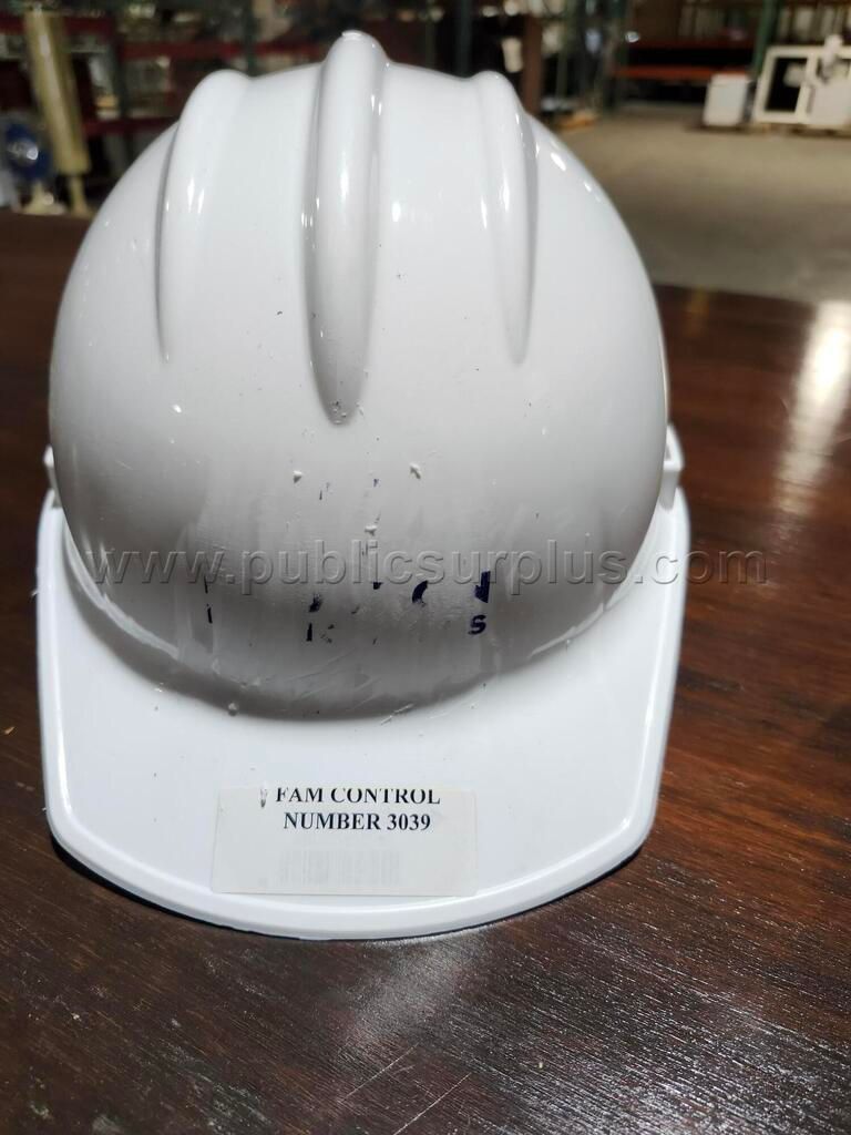 PW-26-100-HARD HATS - photo 1