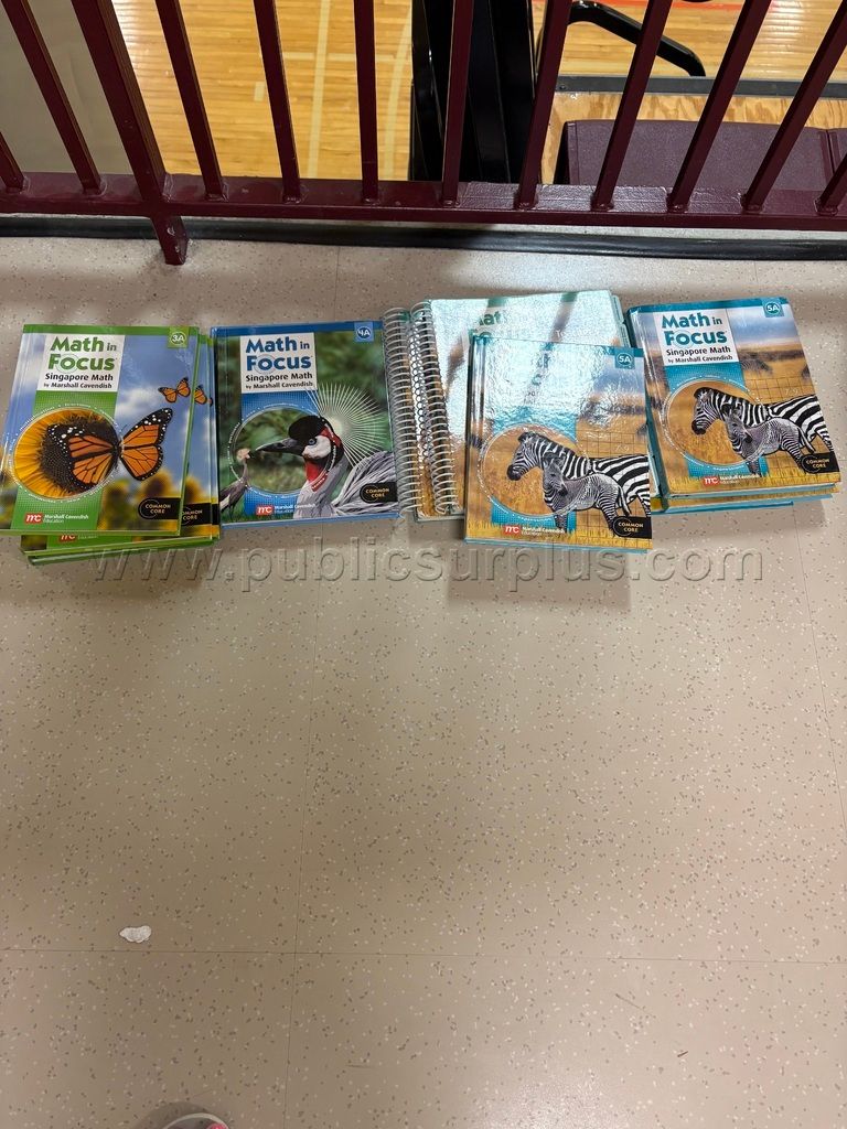 Math in Focus 1st, 2nd, 3rd, 4th and 5th Grade textbooks — photo 1