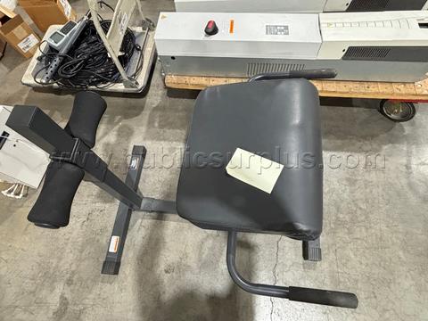 Marcy Roman Back Extension Chair JD 3.1