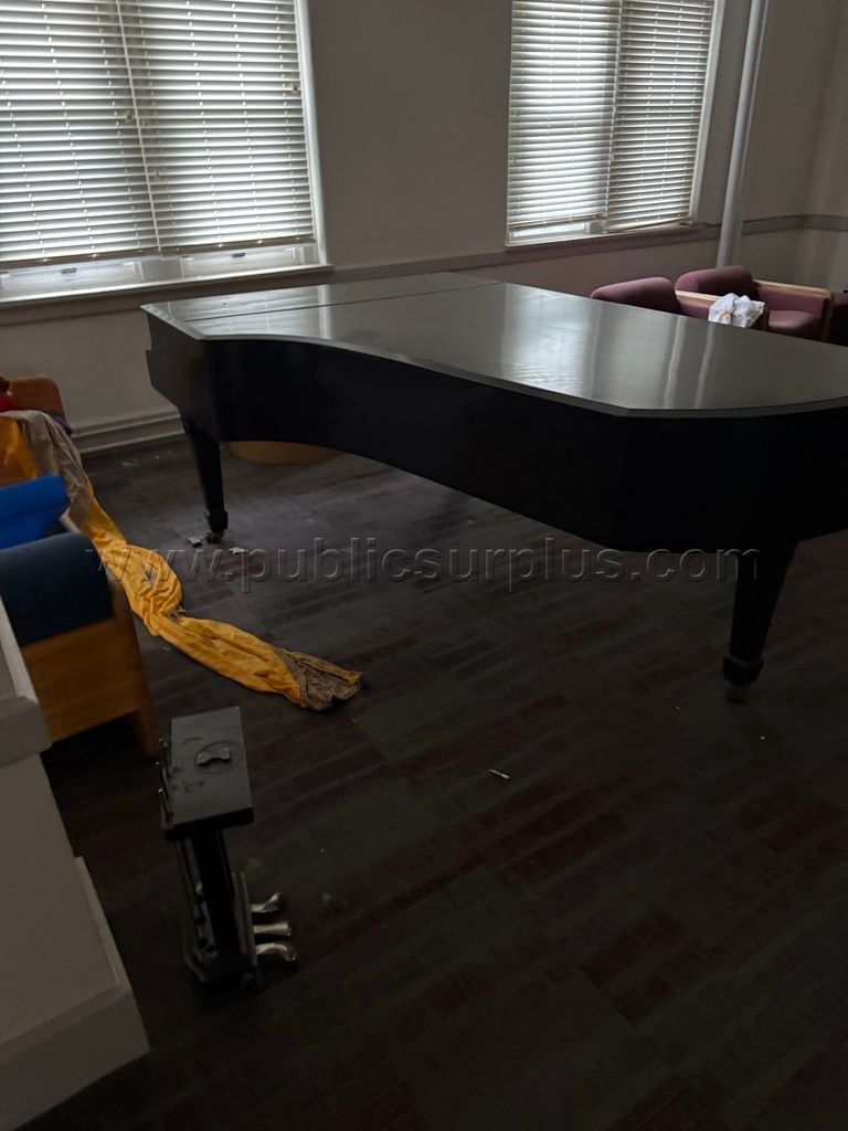Large piano — photo 1