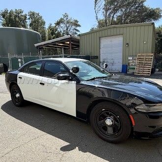 2019 Dodge Charger - photo 1