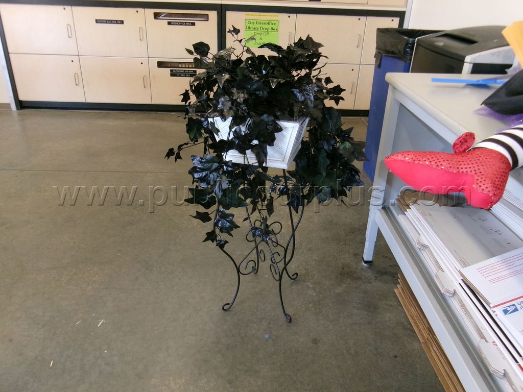 Halloween Items - photo 1