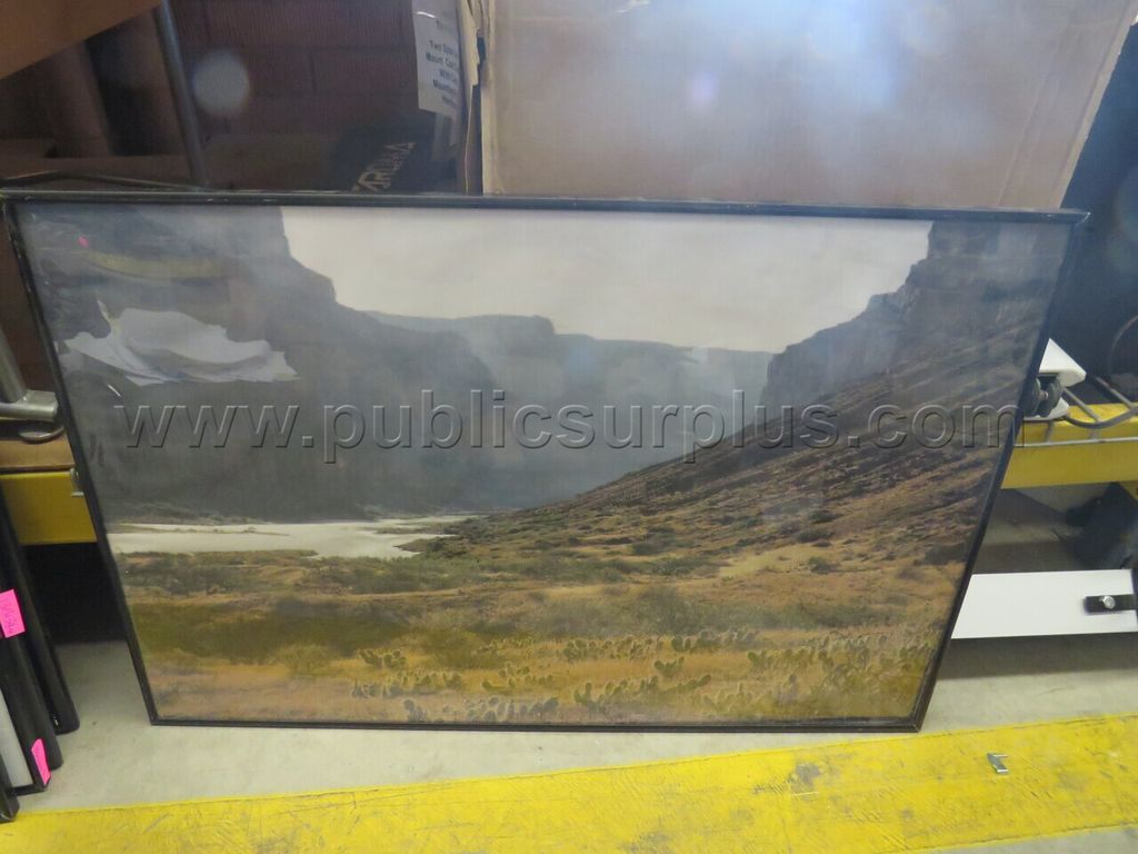 Framed Picture - photo 1