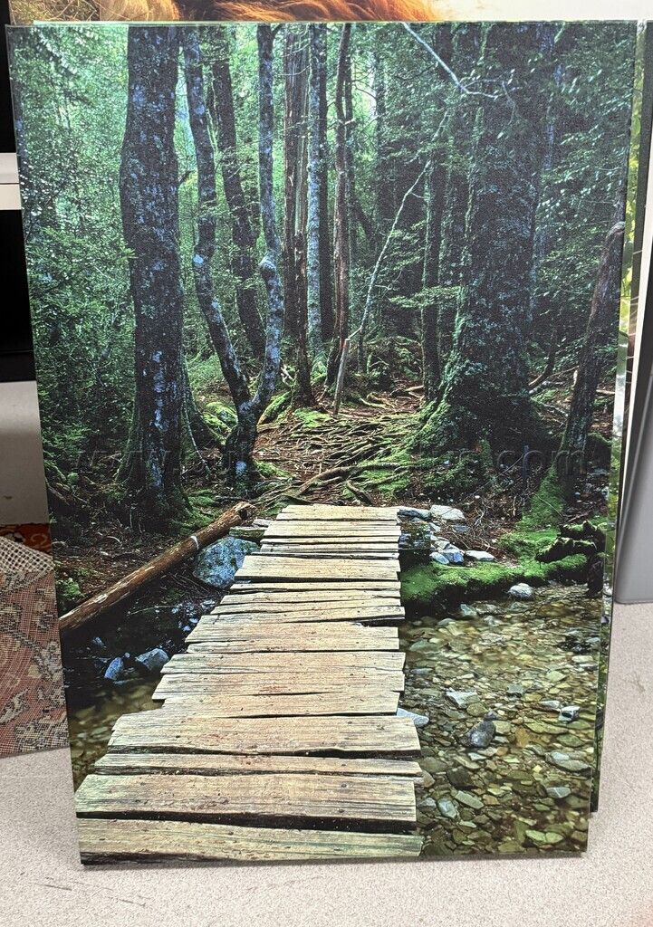 Auction#302- Wooden brige canvas - photo 1