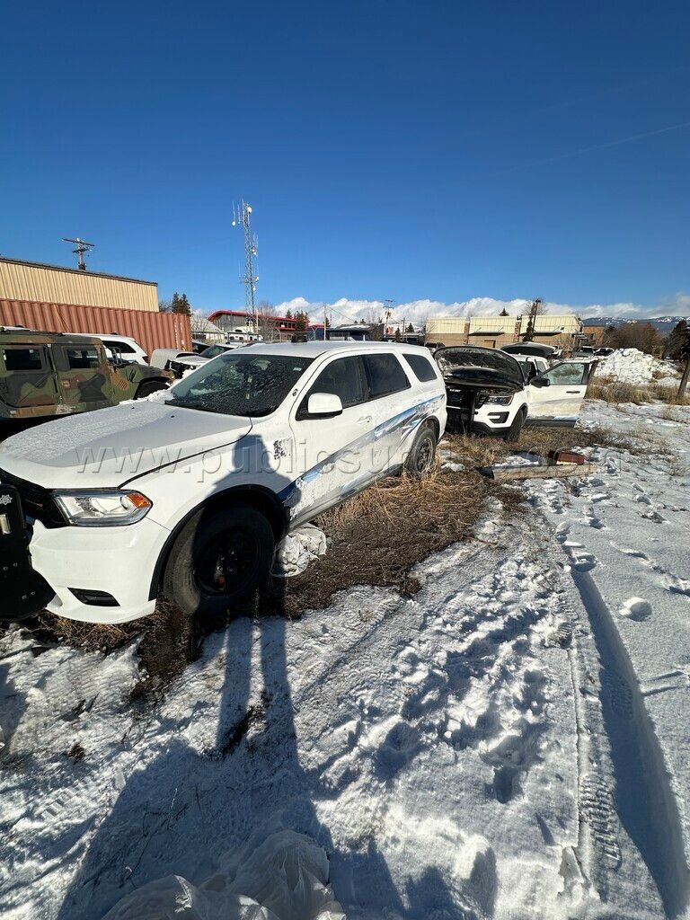 Dodge Durango Special Service SUV 2019 - photo 1