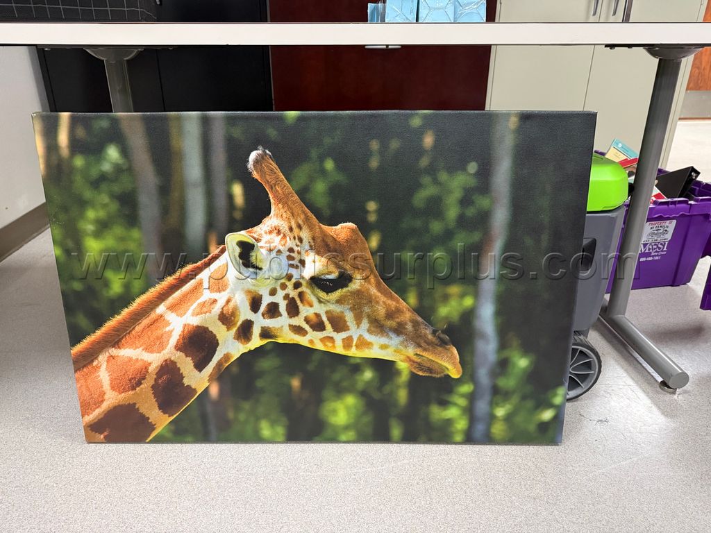 Auction#98- Giraffe picture canvas - photo 1