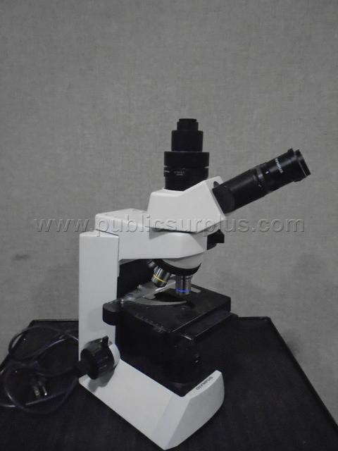 Olympus CX41 Microscope