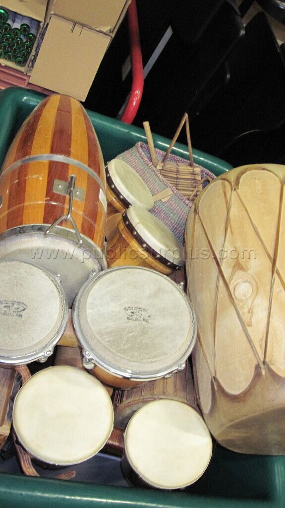 Misc. Musical Instruments - photo 1