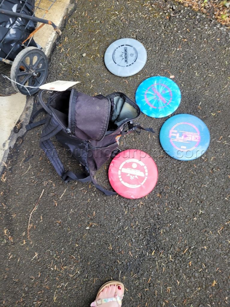 Disc Golf Discs and Weights - photo 1
