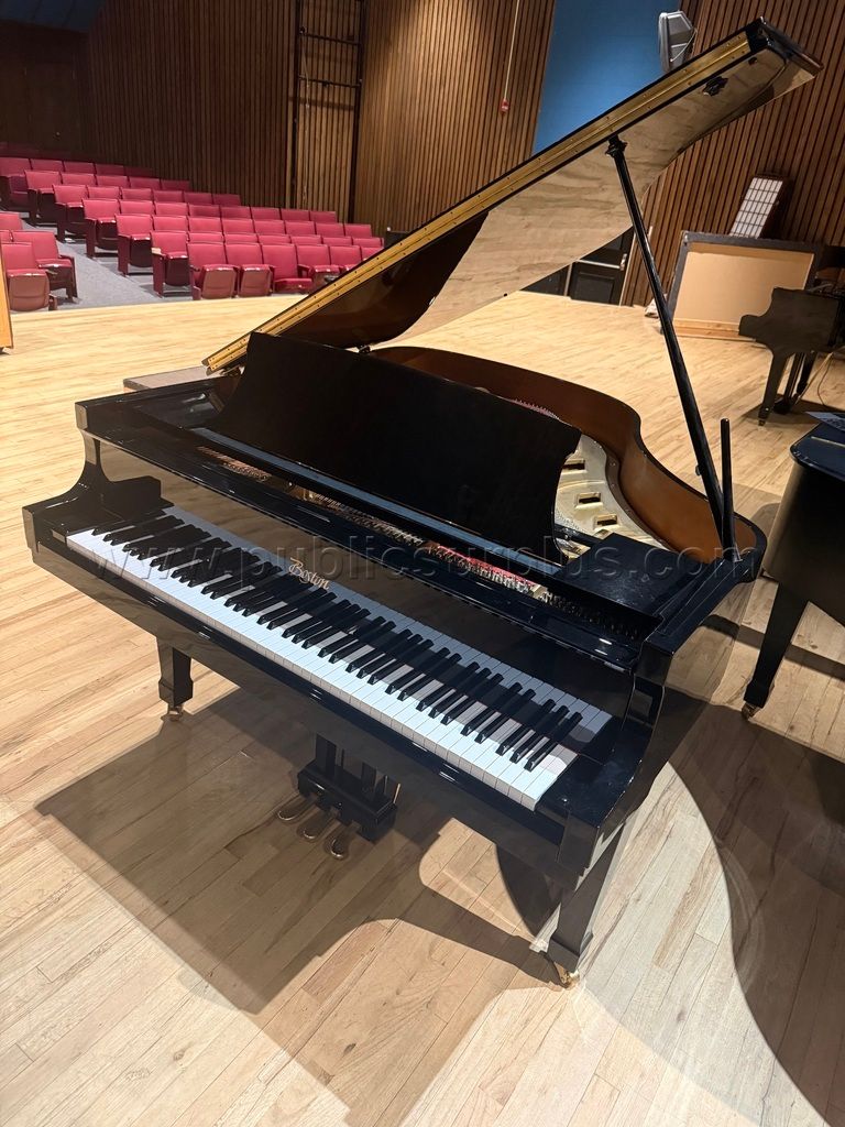 Boston Grand Piano - photo 1