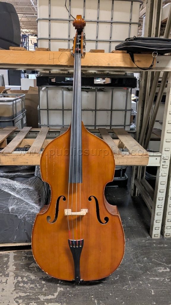 Instrument: Double Bass (2093) - photo 1