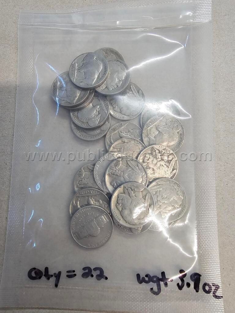Buffalo Nickels - photo 1