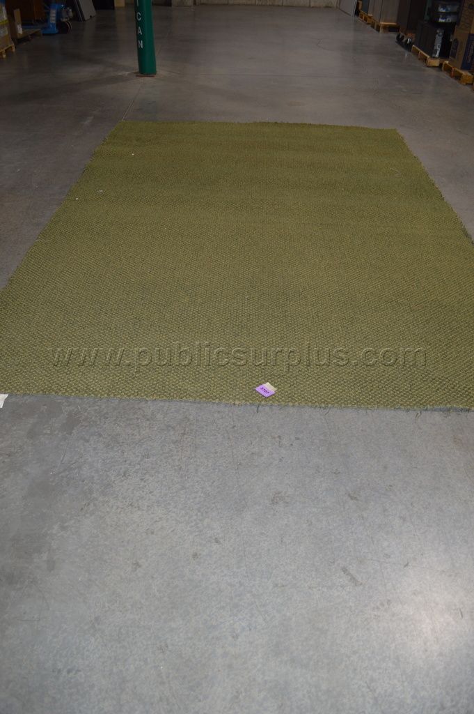 Area Rug ~3707~ - photo 1