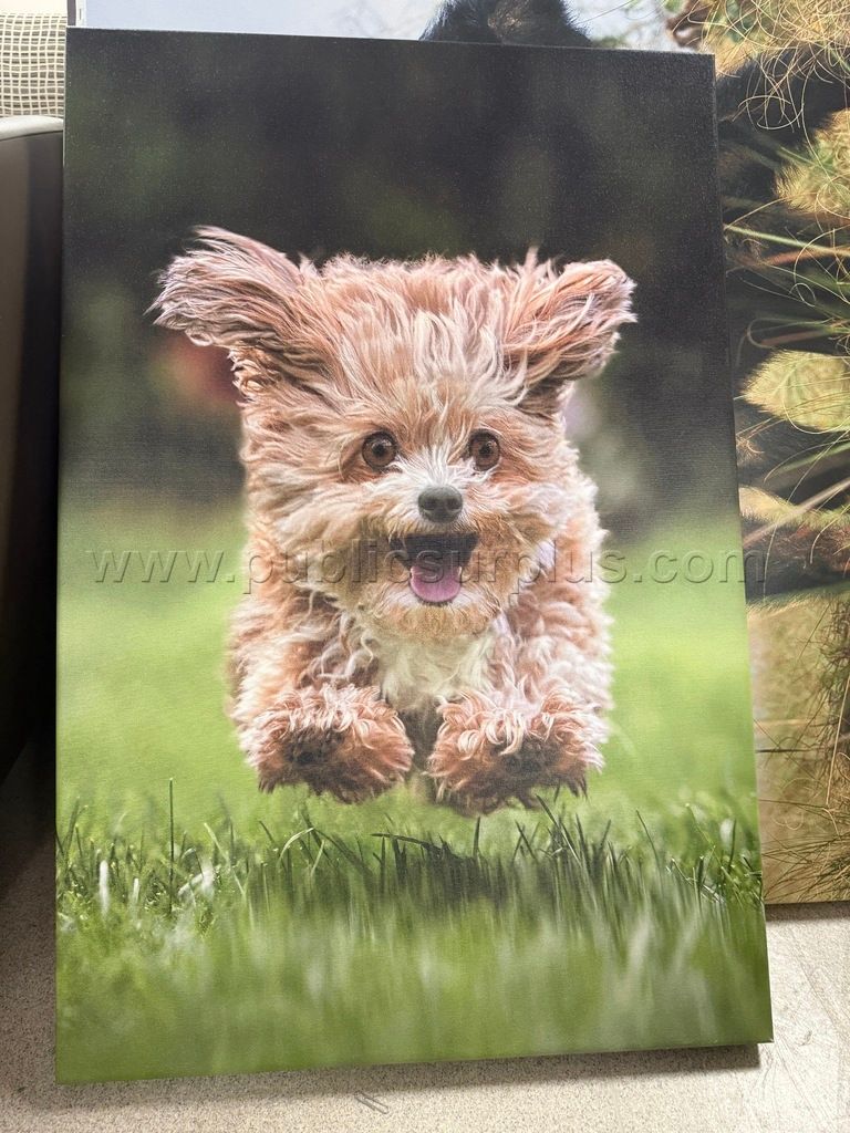 Auction#362- Running happy dog canvas - photo 1