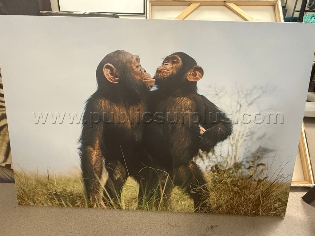 Auction#369- Two chimpanzees canvas - photo 1
