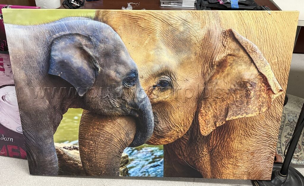 Auction#334- Mama/baby elephant canvas - photo 1