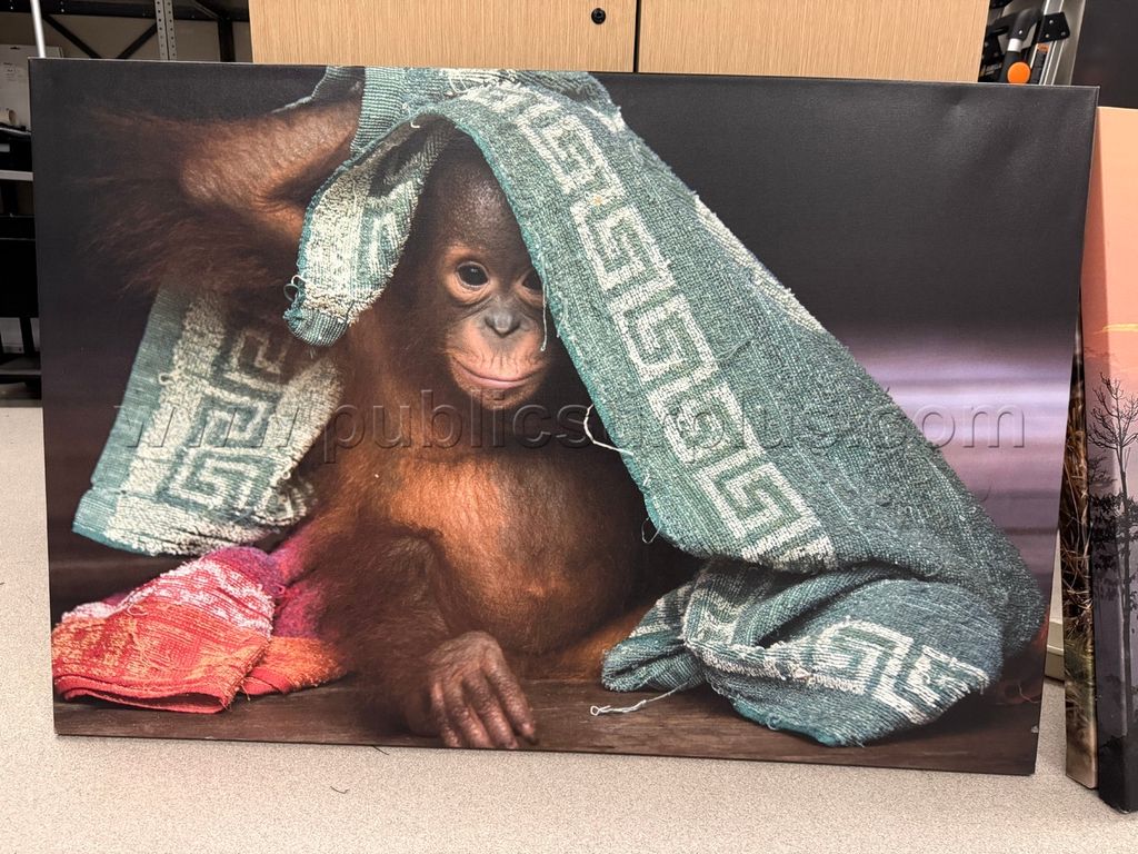 Auction#208- baby monkey canvas - photo 1