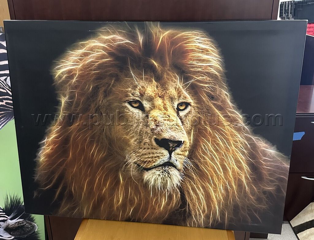 Auction#379- Lion canvas - photo 1