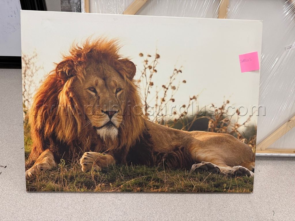 Auction#319- Majestic lion canvas - photo 1