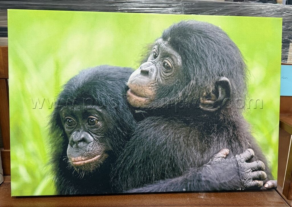 Auction#215- Baby monkeys canvas - photo 1